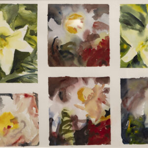 Six Lilies Falmouth Heights