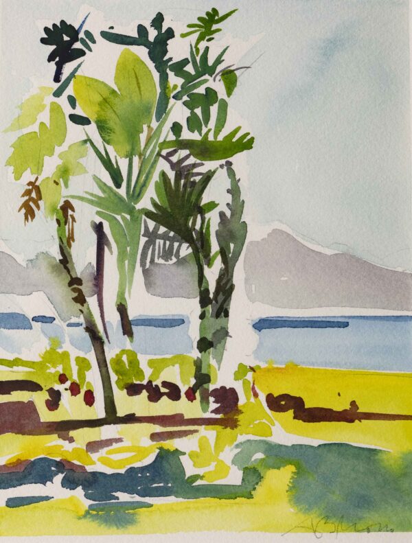 View of Montecito from Santa Barbara [SOLD]