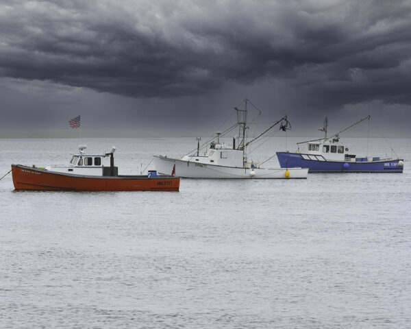 Melanie Guerra: American Storm