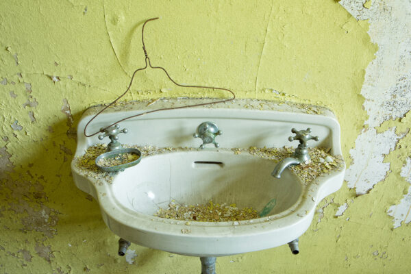 Rebecca Skinner: Sink II