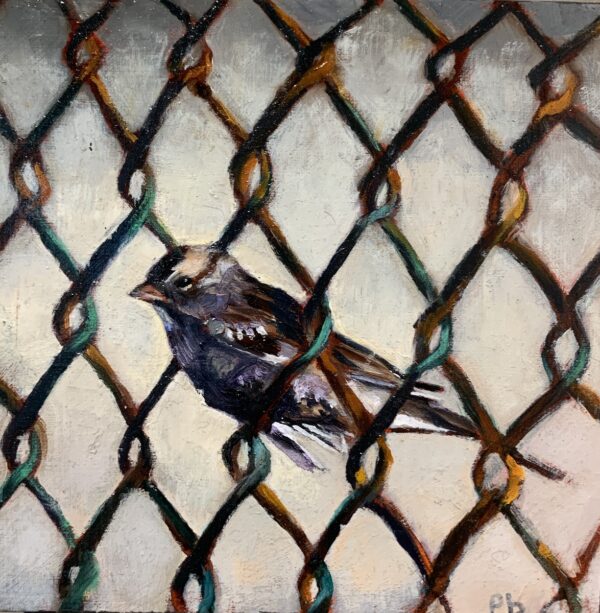 Chain Link Sparrow