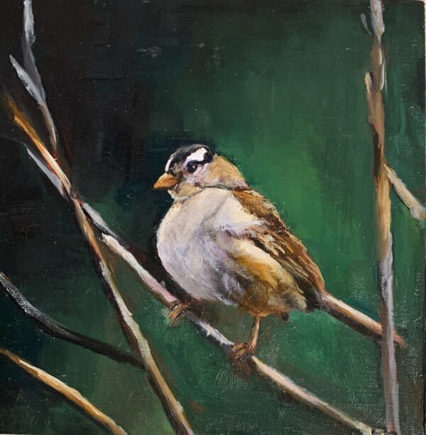 Sparrow [sold]