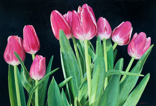 10 Pink Tulips