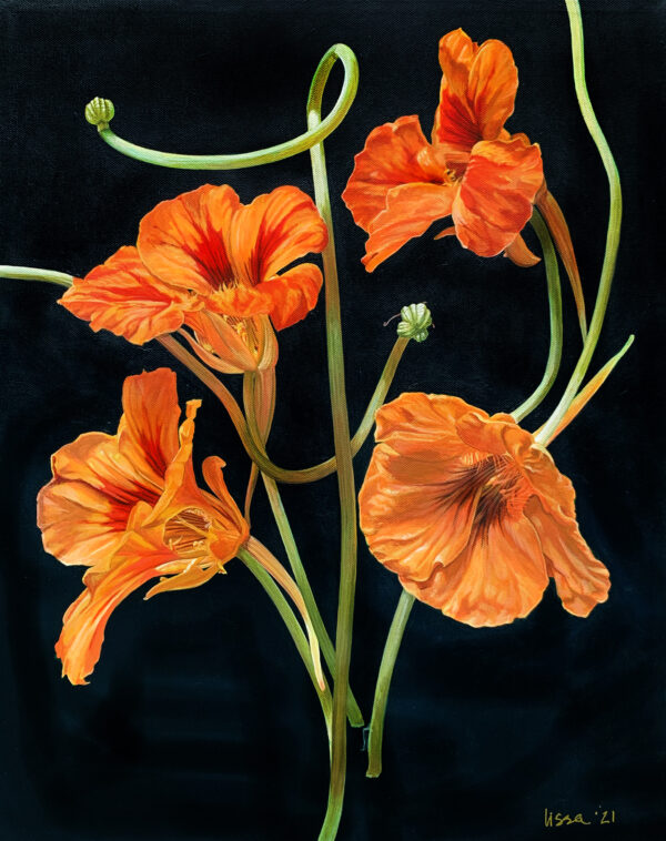 Nasturtium Quartet