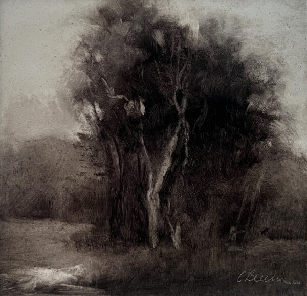 Darkened Grove